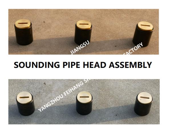 F. O. (fuel oil tank) fuel sounding pipe head, fuel tank temperature measuring head, sounding injection head C50 CB / t3
