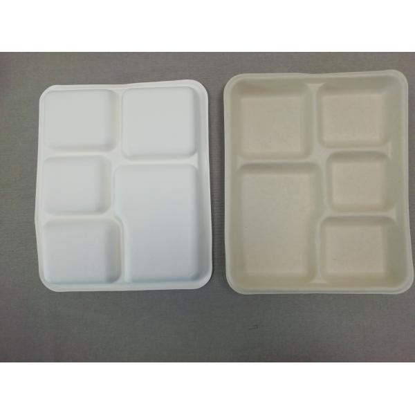 100% Biodegradable Sugarcane Pulp 5 Compartment Tray Natural Bagasse Eco-Friendly Compostable Melamine Dinner Plate