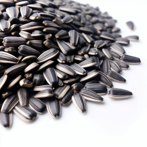 wholesale Dried Sunflower Seeds Factory Direct raw Wholesale T6 Sunflower Seeds