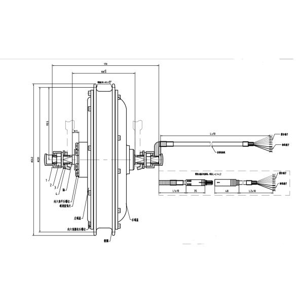 1000 Watt Electric Bike Wheel Hub Kit With 48V 11.6AH Lithium Battery