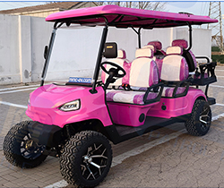 Convenient Golfing Experience Electric Golf Carts Trolley Design with Li-ion Battery