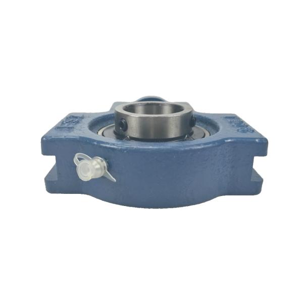 Cast Iron HT200 Housing Pillow Block Bearing Carbon Steel Ball Bearing