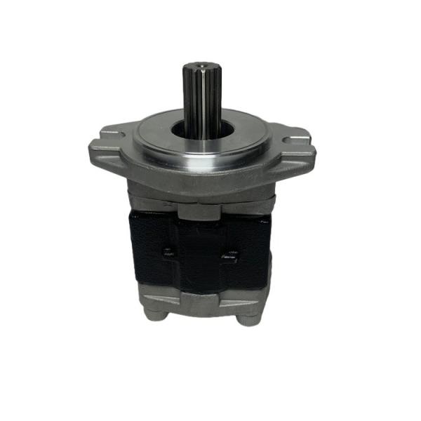 Steel Material Gear Pump with Long Working Life for CPC(D)20-35 Forklift Hydraulic System