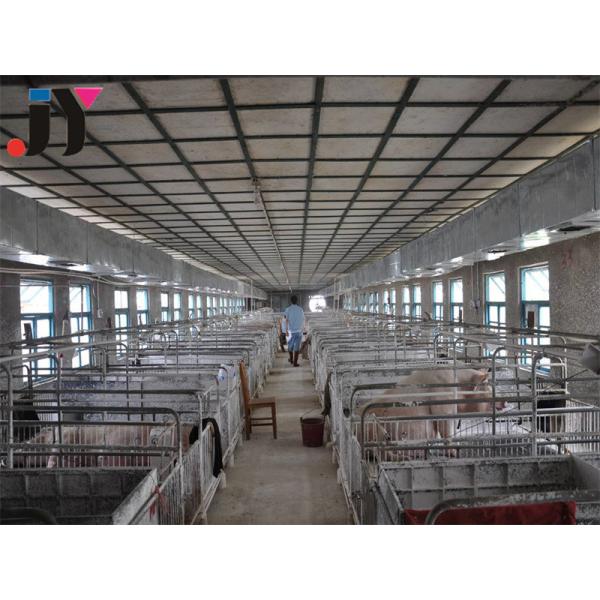 Steel Fabricated House for Commercial Egg Chicken House Design Forming Hot-Rolled Steel