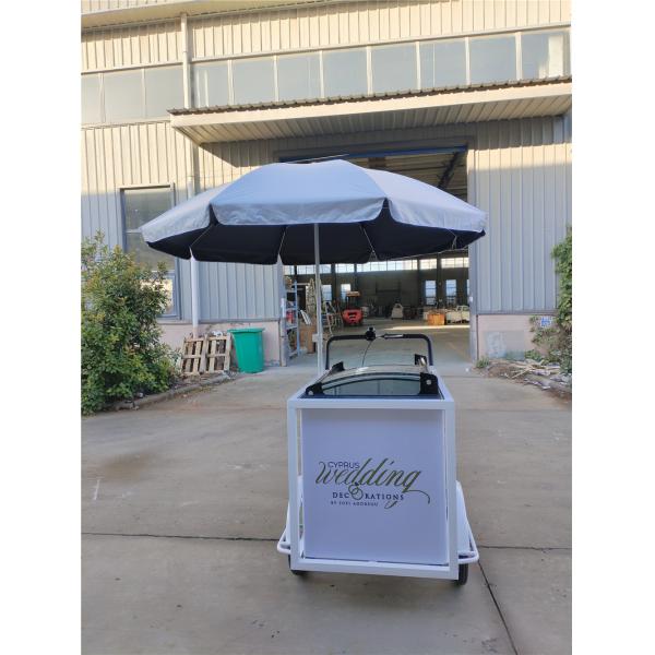 Snack Food Ice Cream Push Cart Tricycle Customized Cooking Equipment with Wheels