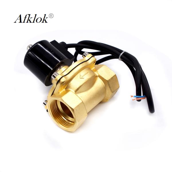 2 Way 1-1/4 Brass Direct Acting Underwater Solenoid Valve DC 12V