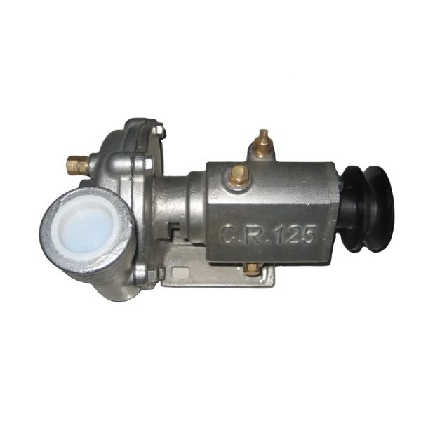 Stainless Steel Sea Water Pump CR100 CR125 CR150 CR200 Used for Marine Engine