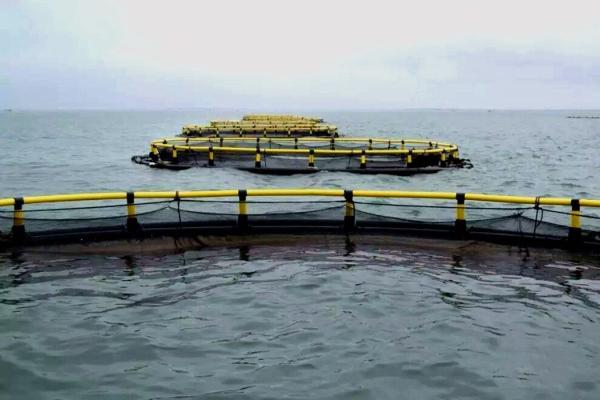 Nanfengwang Fish Cage for Fresh Water Fish Farming Durable and Environmentally Friendly