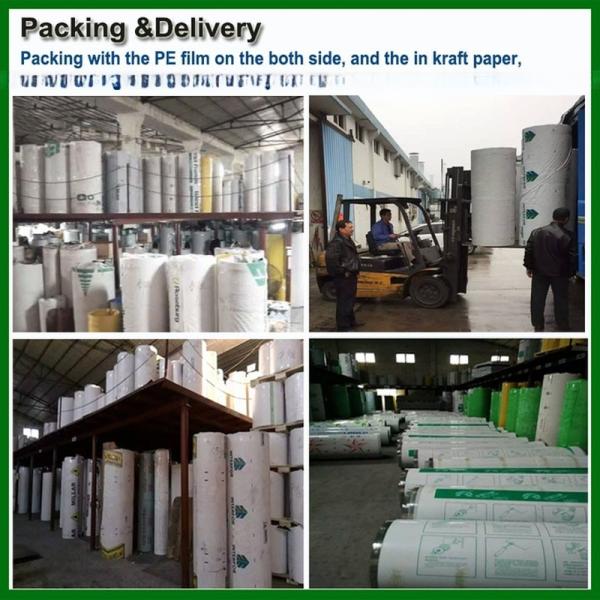 Ультрафиолетоустойчивый 8 мм поликарбонатный полый лист для покрытия теплицы