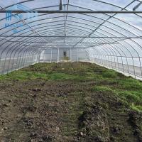 Philippines ont préfabriqué la serre chaude en plastique de tunnel de serre chaude de fraise de simple-envergure de kit