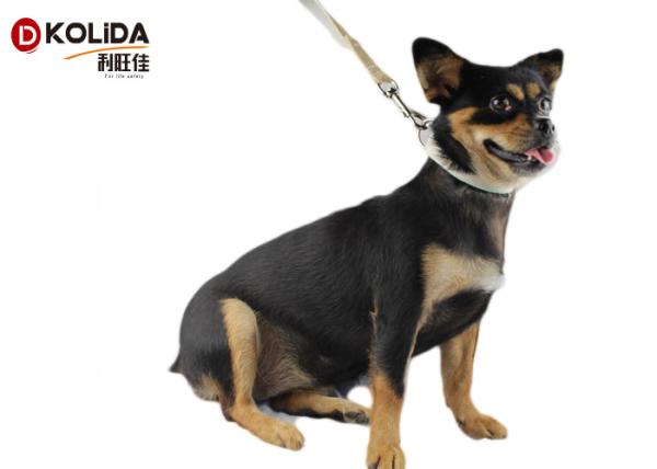 Four Sizes Reflective Dog Collars Stainlee Steel Material Ring For Walking / Training