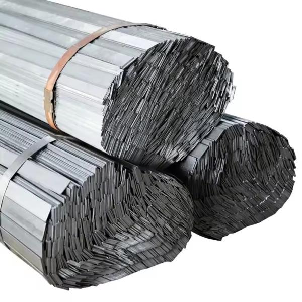 Hot Galvanized Hot Rolled Flat Steel with 6m Length and Hot Galvanization