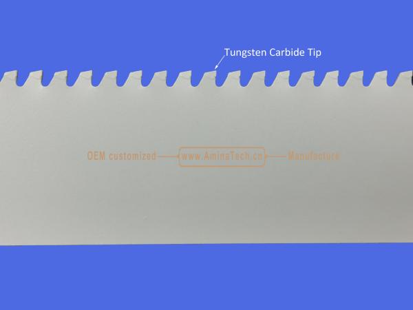 Tungsten Carbide Tipped Recipes Blade 6-6T 150mm,Reciprocating