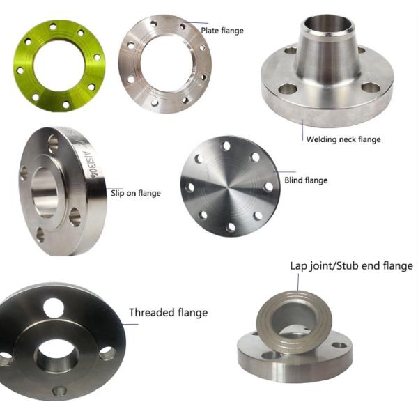 DN15 Forged Stainless Steel Flanges