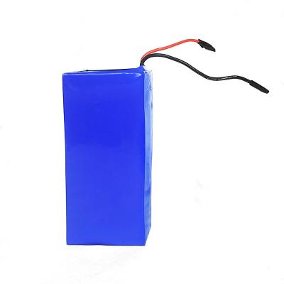 12Ah 48 Volt Bateria de E-bike 1000 Ciclos 20ah Bateria de E-bike personalizada