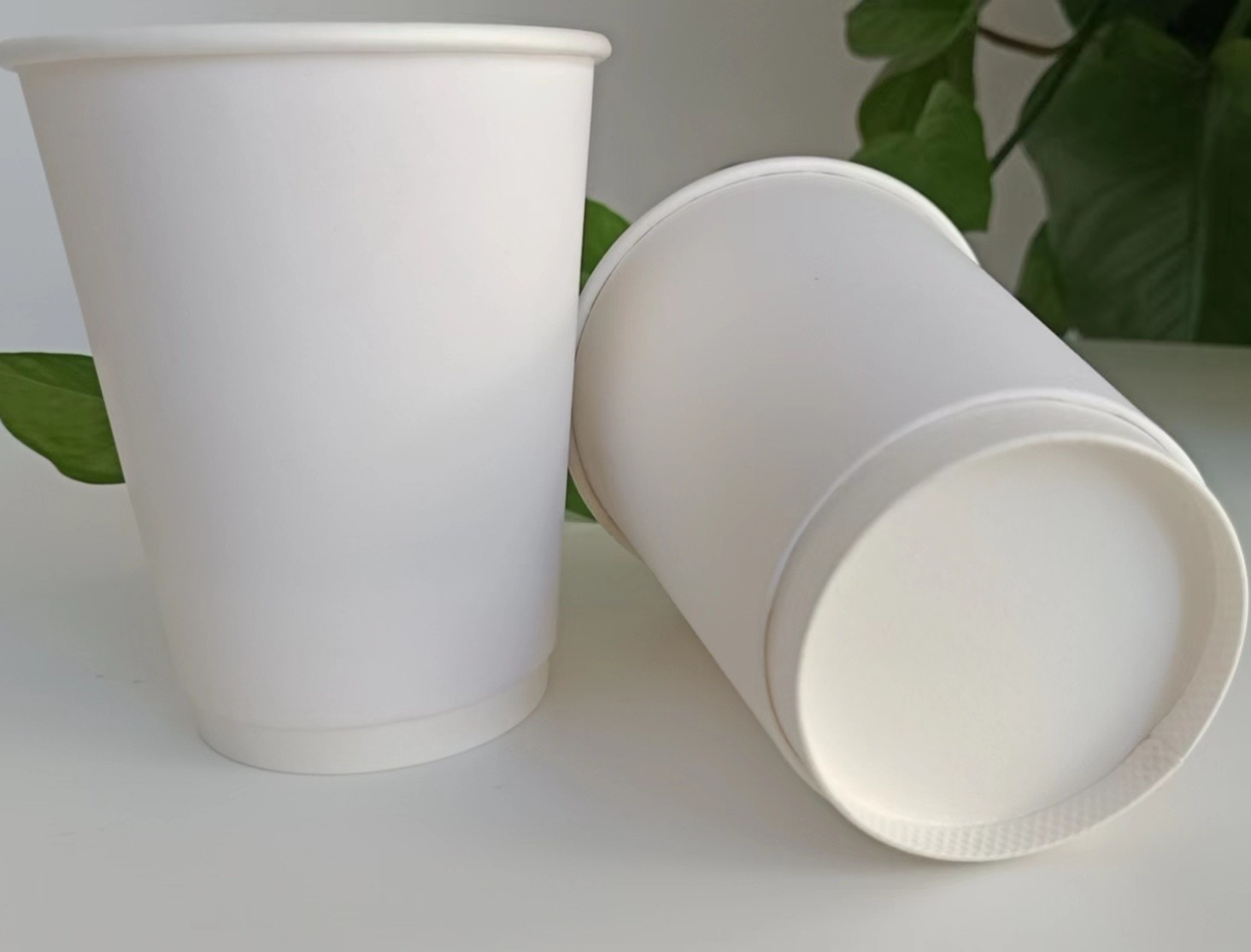 Disposable 12oz 300g 18PE 250 Double Wall Paper Cups 2.5oz-22oz Customized Request