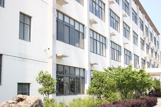 Гамак нейлона полиэстера на открытом воздухе располагаясь лагерем