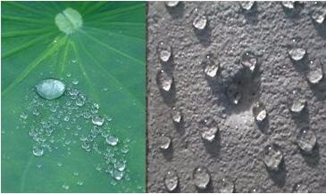 Clear Acrylic Waterproofing Coating Paint For Industrial Design Style Coating