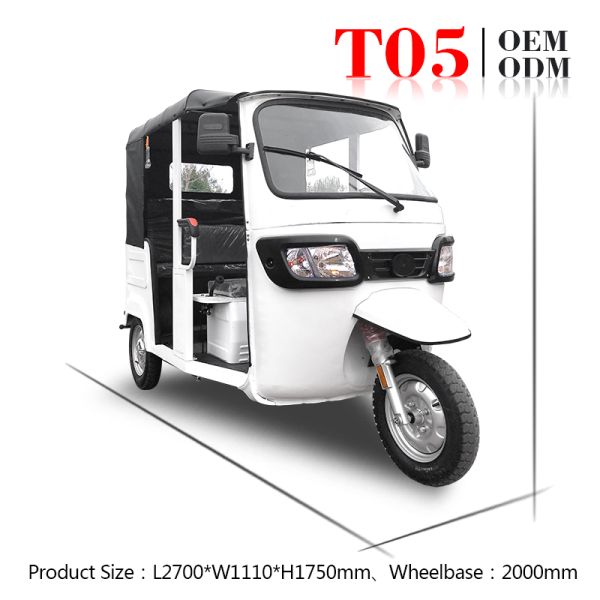 Rechargeable Passenger Electric Tuk Tuk Three Wheeler Rickshaw 40-70km/H 1500W