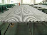 Heat Exchanger Stainless Steel Seamless Tube , ASTM A213,  ASME SA213 , TP304/304L , TP316/316L , TP321/321H, TP310S