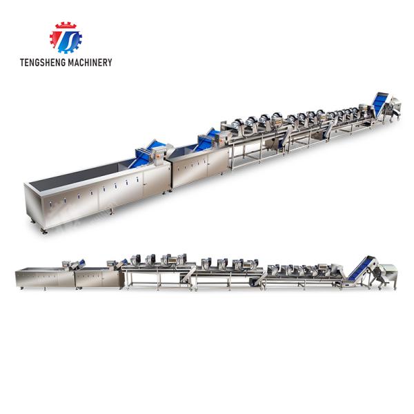 Orange Potato  Potatoes round tuber crops Carrots and longitudinal root vegetables Onions Cabbage varieties Fruiting veget Large-scale fruit and vegetable washing drying and cutting production line