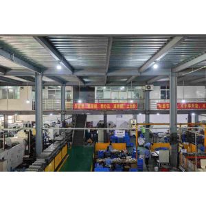 Guangdong Xin Tongshi Group Co., Ltd.