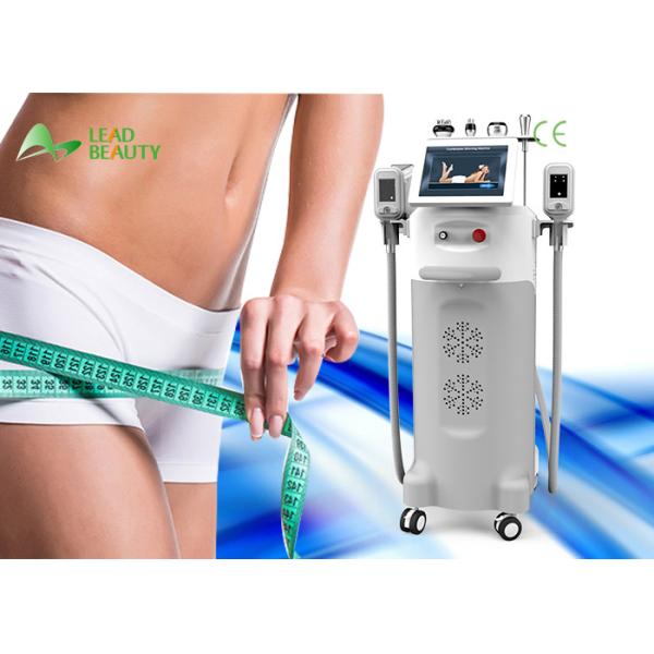 Beauty spa salon use best results cryo lipolysis slimming machine