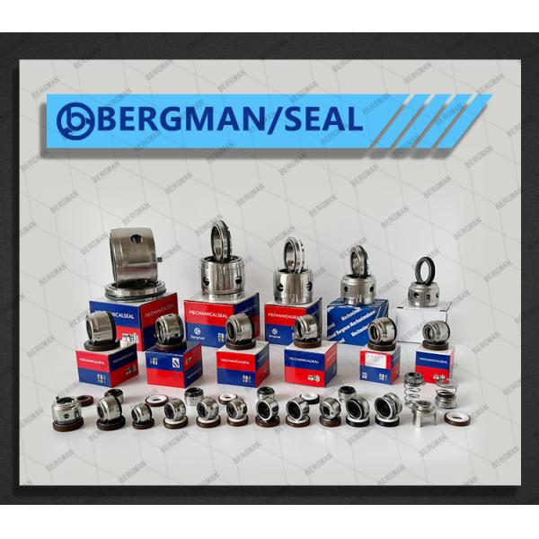 BERGMAN GX 113A Pump Mechanical Seal 20mm 25mm 30mm Stainless Steel