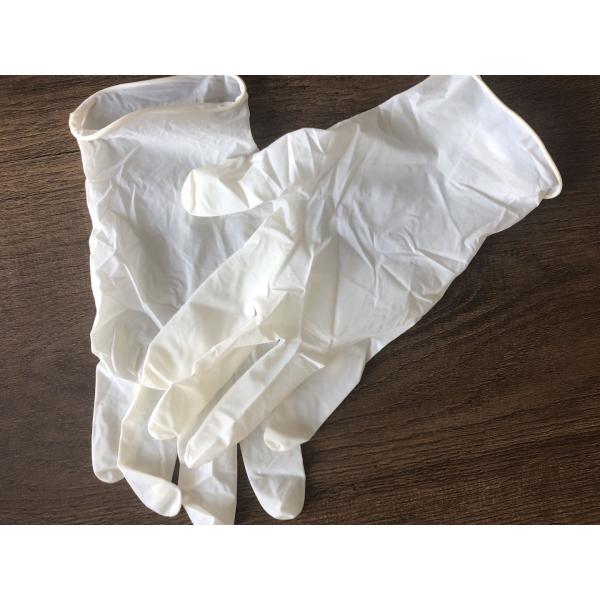 Powder Free Disposable Latex Gloves , Medical Exam Gloves Multi Purpose