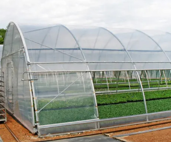 Thickness 0.12mm-0.8mm Plastic Film Greenhouse For Strawberries