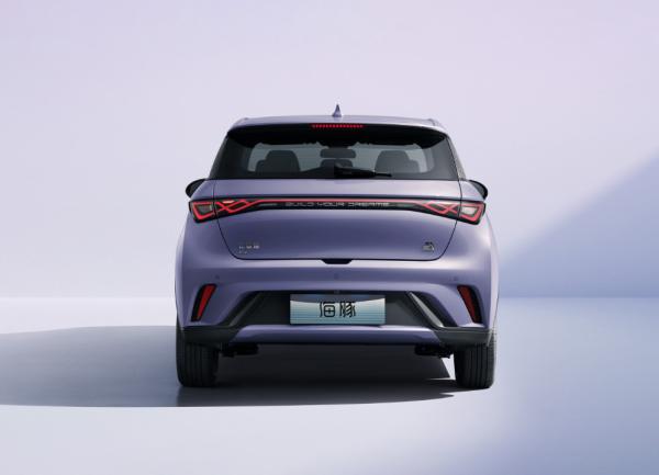 Automobile Factory 2WD BYD EV Car Whale Pure New Energy Electric Vehicle