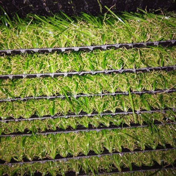 Shop Decoration Indoor Grass Mat Floor Wall Covering CE SGS Approved