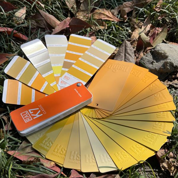 DSM Resin Industrial Coatings The Ultimate Solution for Spray Application powder paint