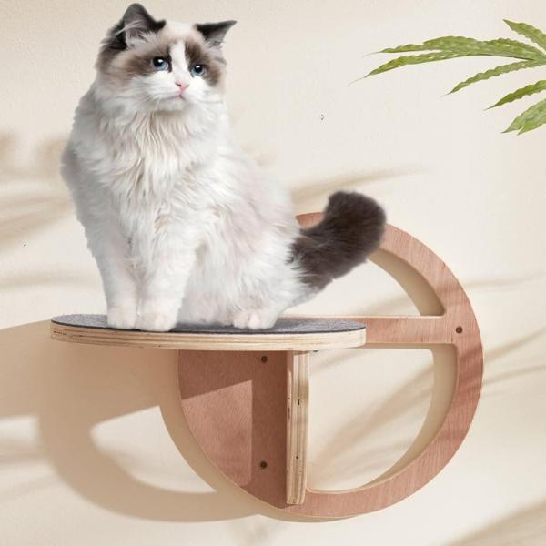 Elegant Wine Packaging Boxes Wooden Cat Wall Steps Climbing Shelves for Excitement
