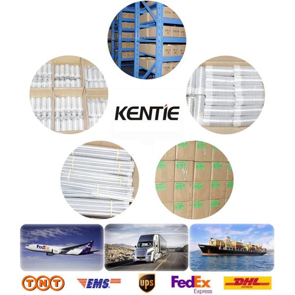 S6000ZZ S6000RS Deep Groove Ball Bearing 10*26*8 Mm Super Precision