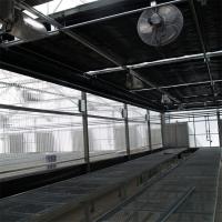 Shade Net Irrigation Blackout System Serre 100% Ombrage