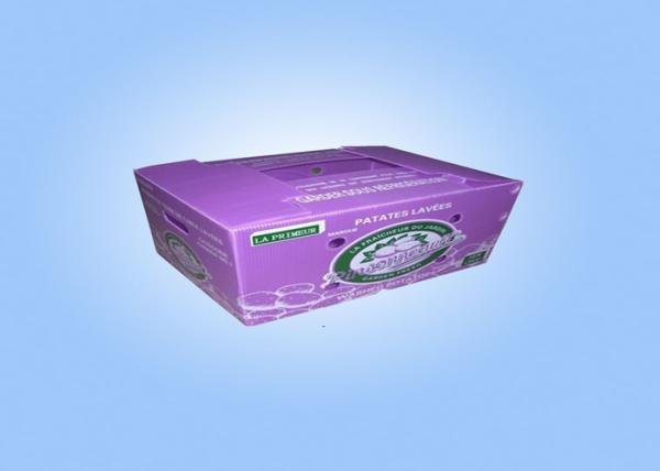 Fruit Vegetable Corrugated Plastic Packaging Boxes