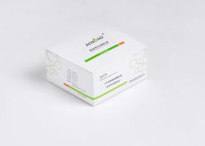 B Type Natriuretic Peptide BNP Test Kit 5-5000pg/ML For Nephrology