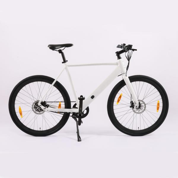 Fashionable Rear Suspension Electric Bike for Adult 48V 250W 500W Road Bicycle