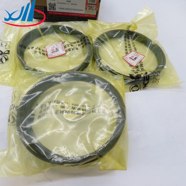 Hot selling Piston ring assembly 5333950