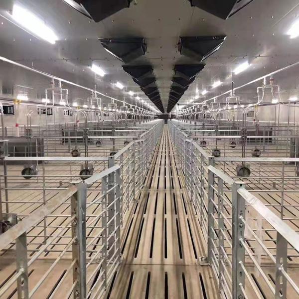 100 сельскохозяйственное оборудование Piggery ручки свини 2.4*0.6m