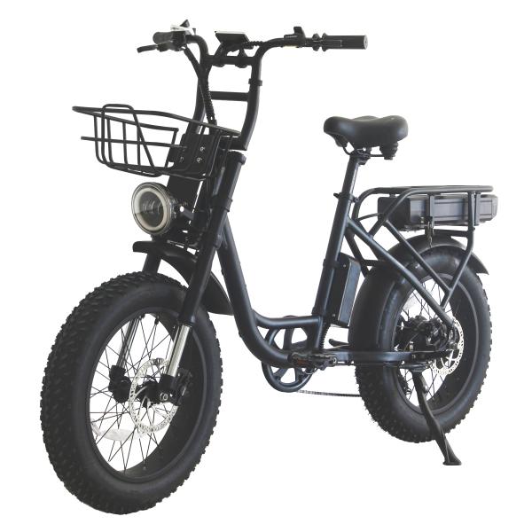 City Riding Made Fun with 48V Retro Electric Bike and Lithium E-Bike Battery Fat Tire