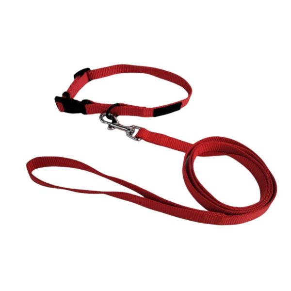 Pet Nylon Collar Leash Set Durable Adjustable Lightweight For Small Medium Dogs