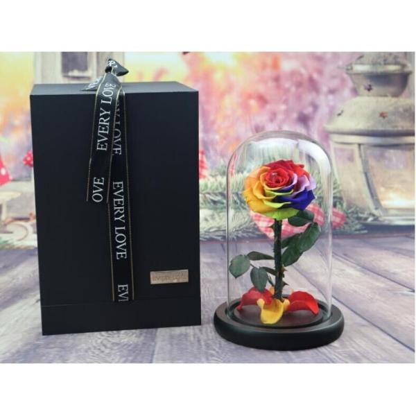 beauty and the beast roses preserved roses in glass dome rose for lover's gift