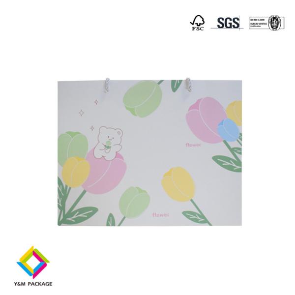 Clothing Paper Bag Custom Printed Takeaway Shopping Paper Bag Craft Paper Gift Bags
