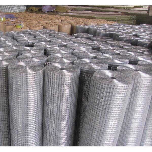 25m 30m Galvanized Welded Metal Wire Mesh Rolls 1/4 inch 8 inch Aperture