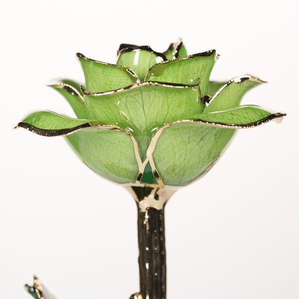 24k Gold Plated Rose  Handmade  Eternal Rose for Christmas Day Wedding Decoration Wholesale Preserved Roses Factory