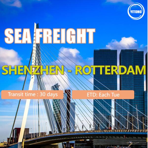 Шэньчжэнь Китай к снабжению перевозки моря Роттердама нидерландскому ОБМАНЫВАЕТ условие торговлей DDU