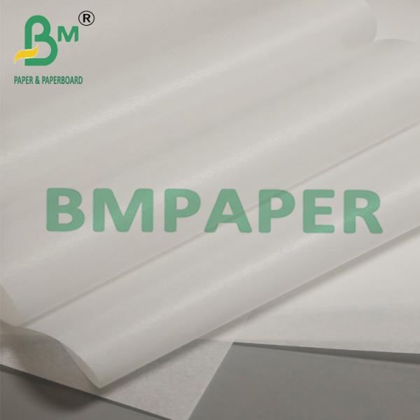 Biodegradable Waterproof Silicone Oil Baking Paper For Barbecue Biodegradable Waterproof Silicone Oil Baking Paper For Barbecue