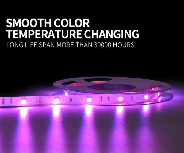 PWB hidrófilo da tira 10mm de 6W 30les/M Flexible Rgb Led